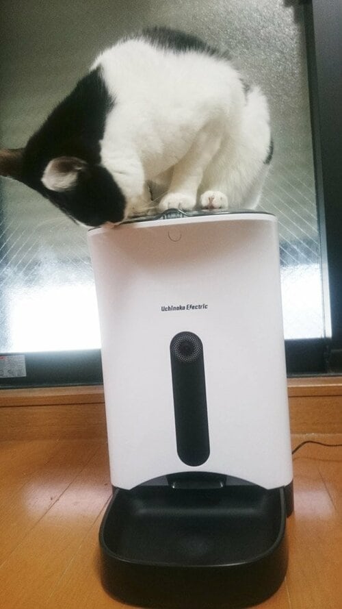 外から会話もOK給餌以外にも使えます イメージ