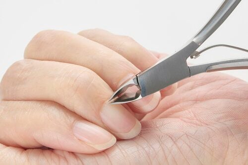 STEP3:余分な甘皮を切る キューティクルニッパーおすすめ イメージ