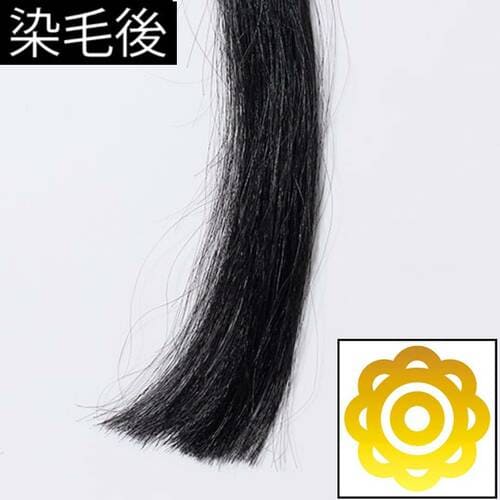 染毛後 メンズ白髪染めおすすめ イメージ