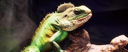 パナソニック「VIERA W95Bシリーズ」 miniLEDテレビおすすめ イメージ