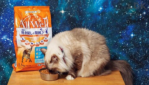 減量用フードは嗜好性が高いことも大事 猫用ドライフードおすすめ イメージ