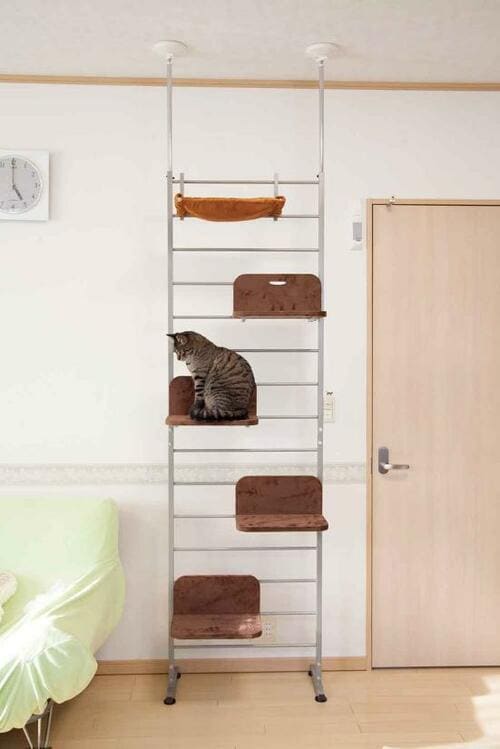 耐久性が抜群！ ボンビアルコンのキャットウォーク イメージ