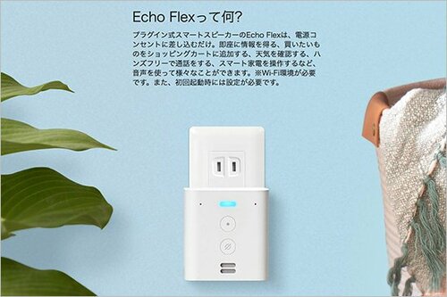 Echoの現行モデルは大きく分けて3タイプ イメージ2