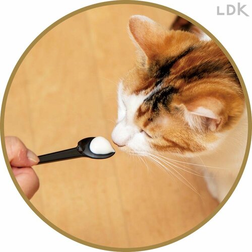 近付けるとしかめっ面をするネコも 猫用歯磨き粉おすすめ イメージ