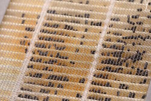 【残念ポイント その1】そもそもフィルターがビミョーでした イメージ4