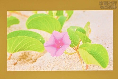 明るい部屋でも映像が明瞭! 4Kプロジェクターおすすめ イメージ