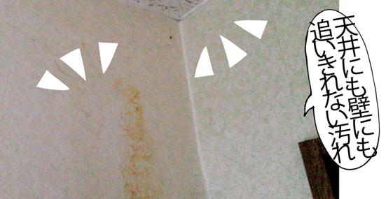 壁掃除 油性クレヨンも らくがき落としクリーナー なら即落ちでした Ldk とお掃除のプロが伝授 360life サンロクマル