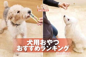 犬用おやつのおすすめランキング。ドッグトレーナー、ペット栄養管理士と人気商品を比較