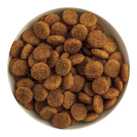 2025年】ドッグフードのおすすめランキング21選。LDKがペット栄養管理