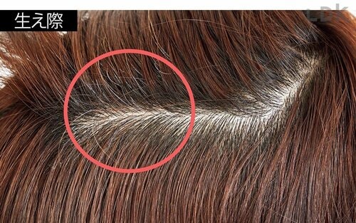 いつものセルフ染め 白髪染めヘアカラーおすすめ イメージ2