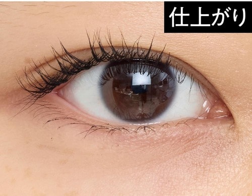 仕上がり イメージ