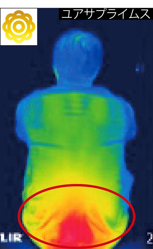 ユアサプライムス：運転して約30秒であたたまりはじめる 一人暮らし向けファンヒーターおすすめ イメージ