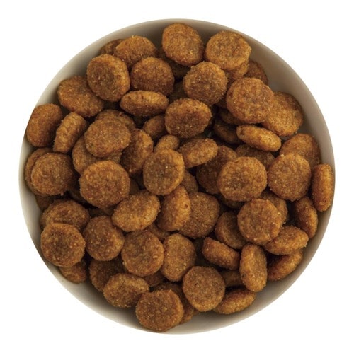 ドッグフードおすすめ 日本ヒルズ・コルゲート ヒルズ サイエンス・ダイエット ベット・エッセンシャル マルチケア 小型犬用 ラム&ライス イメージ2