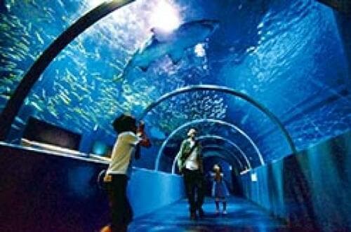 海の世界が広がる「登別マリンパークニクス」