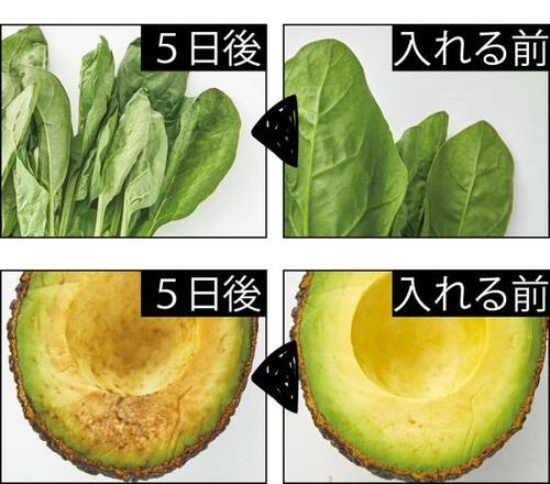 C評価: アボガドが一番黒くなった コバヤシ「袋で鮮度を保とーさん」 鮮度保持袋おすすめ イメージ2
