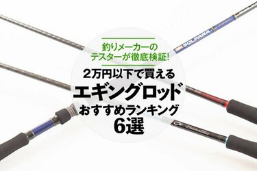 エギングロット アングラーズ琵琶湖周辺釣りブログ : 【入荷情報】究極のエギング