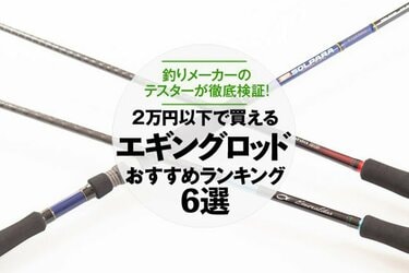 22年 エギングロッドのおすすめ6選 釣りメーカーのテスターが人気商品を徹底比較 360life サンロクマル