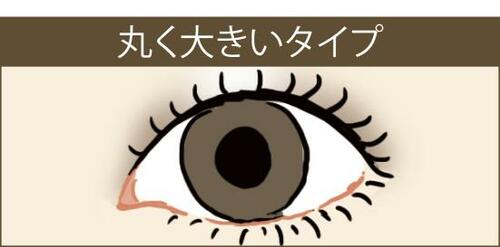 ▼丸く大きいタイプ