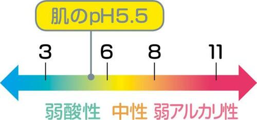 【成分編】アミノ酸系主体の製品がベスト!ダイソーも大健闘