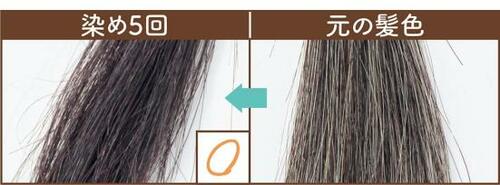 仕上がり イメージ