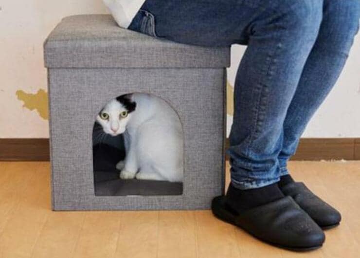 安くて実用性が高い！ ニトリのおすすめ猫グッズ3選 | 猫のプロが検証