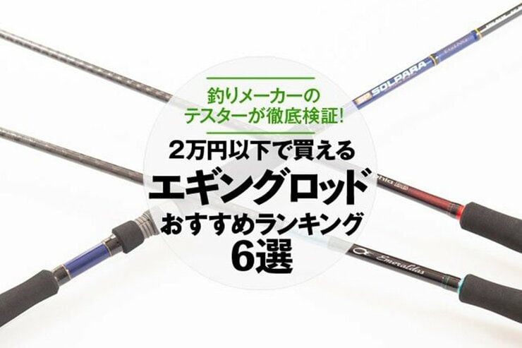 エギングロッドのおすすめランキング6選。釣りメーカーのテスターが人気商品を徹底比較