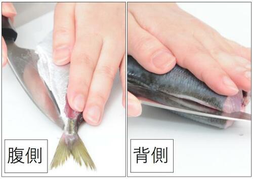 5:3枚におろす 出刃包丁おすすめ イメージ