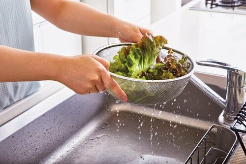 目詰まりゼロで水切れも早い！500円で手に入るニトリのメッシュザル ザルおすすめ イメージ2