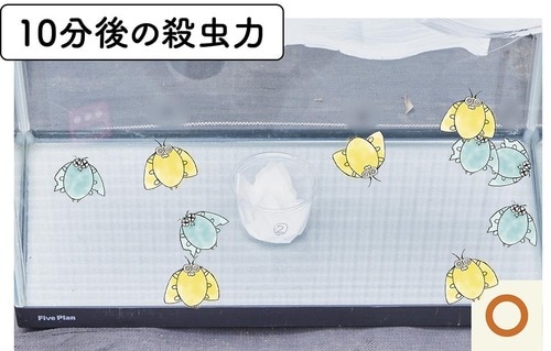 10分 ゴキブリ対策グッズおすすめ イメージ