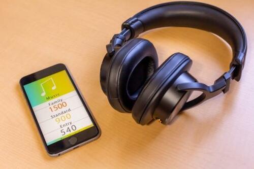 使い方次第でお得！「サブスク」は大きく3種類 イメージ