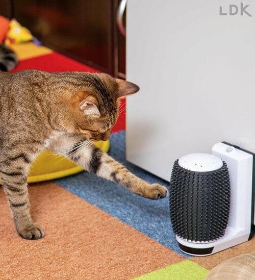 電動の利点を感じない 猫のセルフグルーミンググッズおすすめ イメージ