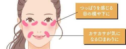 使い方1:どこに塗るのが正解? スティック美容液おすすめ イメージ