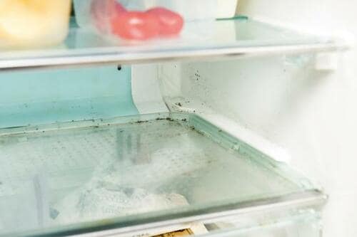 お掃除ワザ4：根の浅いカビにはアルコールシートが効果的！ イメージ