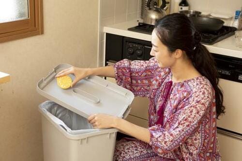 放置した生ゴミもスッキリ消臭！ 小林製薬「生ゴミ用ゴミサワデー」 イメージ2