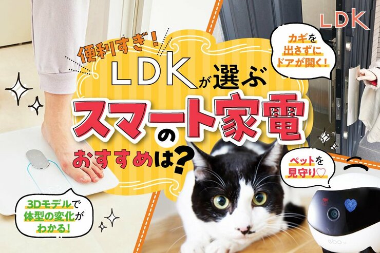 LDKが選ぶスマート家電・IoT家電のおすすめ。暮らしが便利になる人気商品を紹介