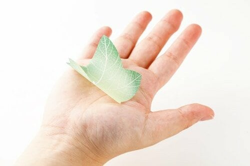 丸くなってぬくもりが伝わります イメージ