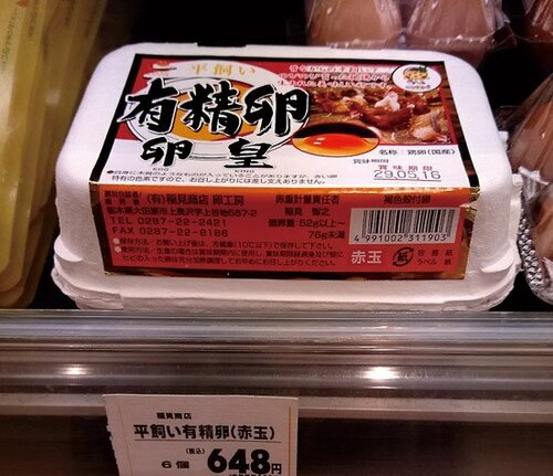 【Q3】有精卵と無精卵の違いってあるの？ イメージ