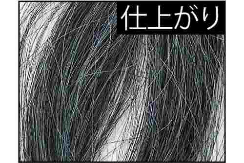 仕上がり 白髪染めおすすめ イメージ