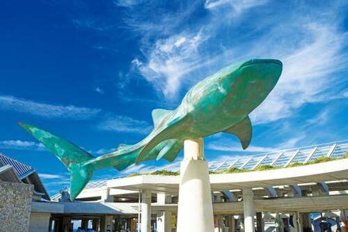 海洋博公園・沖縄美ら海水族館 基本情報