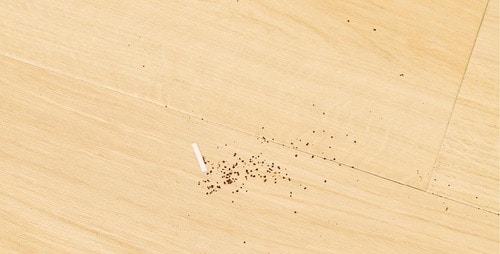 フローリング ロボット掃除機おすすめ イメージ