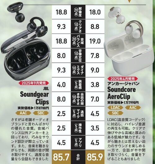 その差はわずか0.2ポイント!超接戦を制したアンカー 家電ベストバイ オブザイヤーおすすめ イメージ