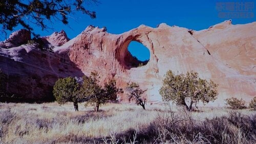 映像モード:標準 家電批評ベストバイオブザイヤーおすすめ イメージ