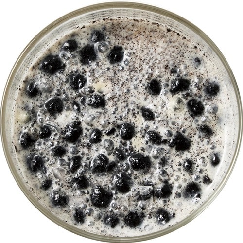 クッキーが浮かぶプロテインはこれだけ! ホエイプロテインおすすめ イメージ