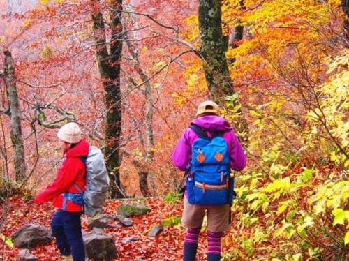 安全に登山を楽しむなら登山時計を持っていきましょう イメージ