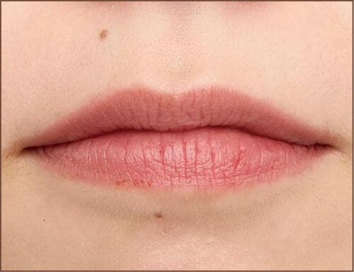 【夕方〜夜】 口紅おすすめ イメージ