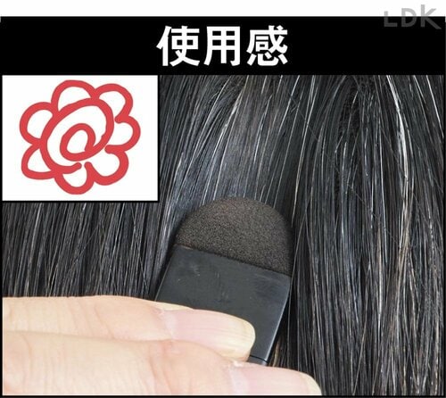 チップが持ちやすく気軽に塗れる 白髪隠しおすすめ イメージ