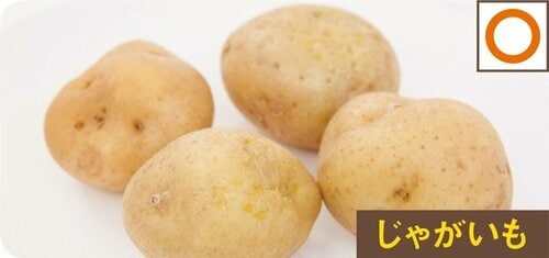 自宅にある耐熱容器&ラップ&キッチンペーパーはイマイチ