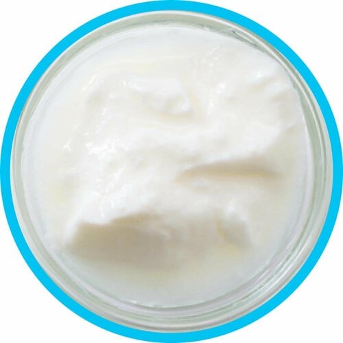 ヨーグルトおすすめ 榛名酪連 ビフィズスヨーグルト イメージ2