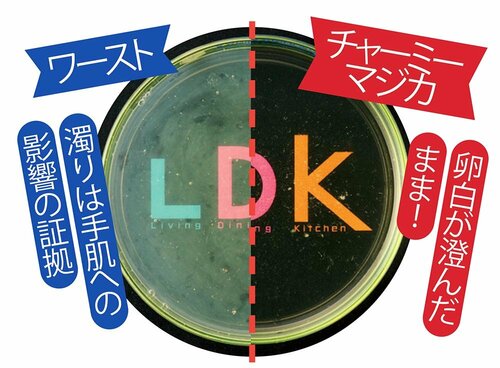 チャーミーは手肌にやさしい LDKおすすめの食器用洗剤おすすめ イメージ