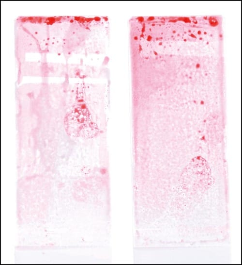 洗浄力 ボディソープおすすめ イメージ